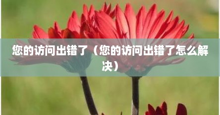 您的访问出错了（您的访问出错了怎么解决）