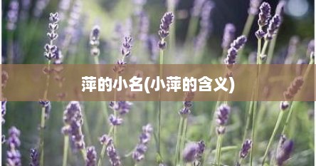 萍的小名(小萍的含义)