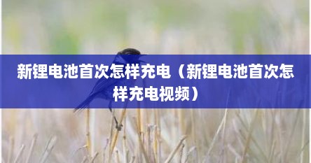 新锂电池首次怎样充电（新锂电池首次怎样充电视频）