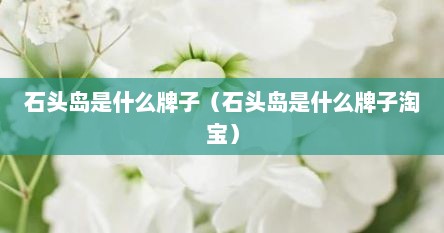 石头岛是什么牌子（石头岛是什么牌子淘宝）