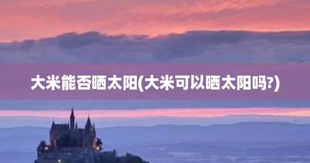 大米能否晒太阳(大米可以晒太阳吗?)