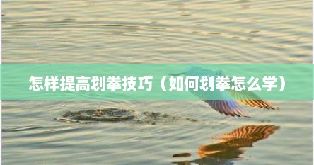 怎样提高划拳技巧（如何划拳怎么学）