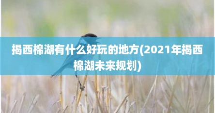 揭西棉湖有什么好玩的地方(2021年揭西棉湖未来规划)