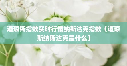 道琼斯指数实时行情纳斯达克指数（道琼斯纳斯达克是什么）