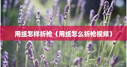 用纸怎样折枪（用纸怎么折枪视频）