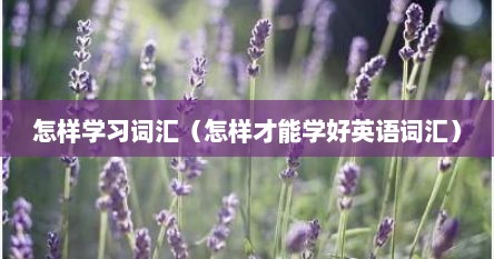怎样学习词汇（怎样才能学好英语词汇）