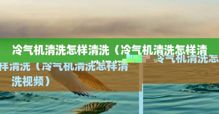 冷气机清洗怎样清洗（冷气机清洗怎样清洗视频）