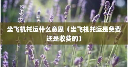 坐飞机托运什么意思（坐飞机托运是免费还是收费的）