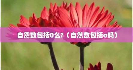 自然数包括0么?（自然数包括o吗）