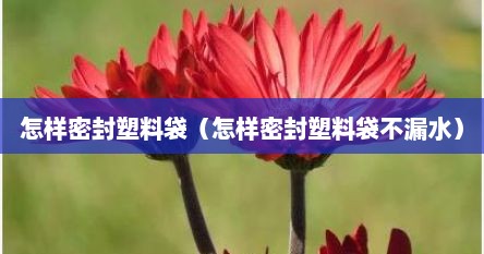怎样密封塑料袋（怎样密封塑料袋不漏水）