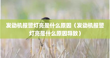 发动机报警灯亮是什么原因（发动机报警灯亮是什么原因导致）