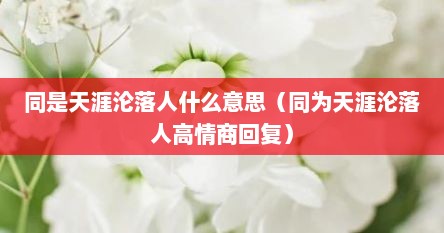 同是天涯沦落人什么意思（同为天涯沦落人高情商回复）