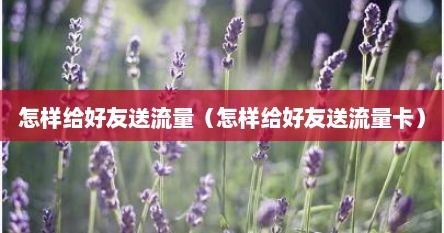 怎样给好友送流量（怎样给好友送流量卡）