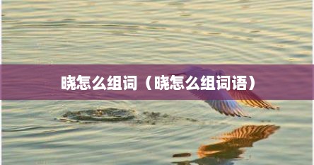 晓怎么组词（晓怎么组词语）