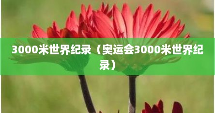 3000米世界纪录（奥运会3000米世界纪录）