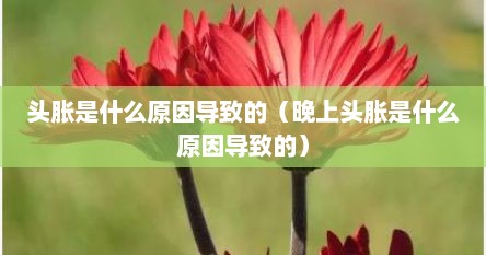 头胀是什么原因导致的（晚上头胀是什么原因导致的）