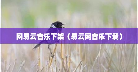 网易云音乐下架（易云网音乐下载）