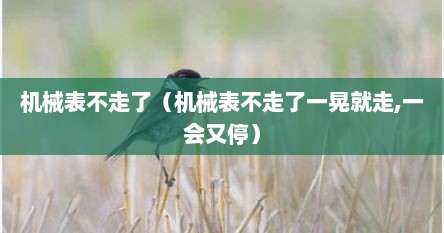 机械表不走了（机械表不走了一晃就走,一会又停）