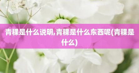 青稞是什么说明,青稞是什么东西呢(青稞是什么)
