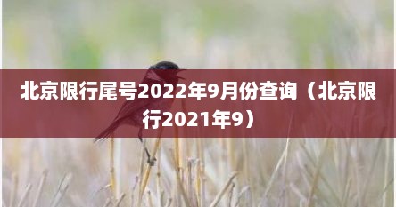 北京限行尾号2022年9月份查询（北京限行2021年9）