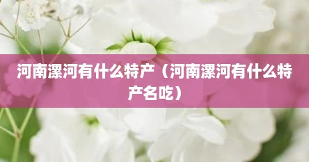 河南漯河有什么特产（河南漯河有什么特产名吃）