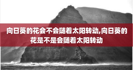 向日葵的花会不会随着太阳转动,向日葵的花是不是会随着太阳转动