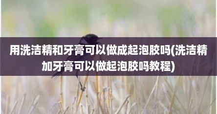 用洗洁精和牙膏可以做成起泡胶吗(洗洁精加牙膏可以做起泡胶吗教程)