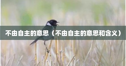 不由自主的意思（不由自主的意思和含义）
