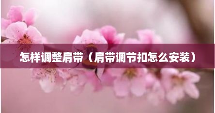 怎样调整肩带（肩带调节扣怎么安装）