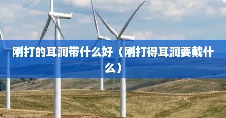 刚打的耳洞带什么好（刚打得耳洞要戴什么）