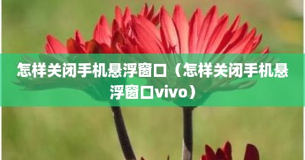 怎样关闭手机悬浮窗口（怎样关闭手机悬浮窗口vivo）