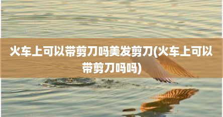 火车上可以带剪刀吗美发剪刀(火车上可以带剪刀吗吗)