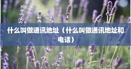 什么叫做通讯地址（什么叫做通讯地址和电话）