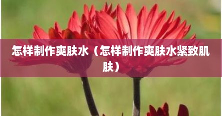 怎样制作爽肤水（怎样制作爽肤水紧致肌肤）