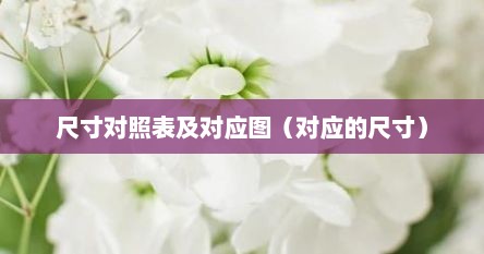 尺寸规格对照表图片（尺寸对照表照片）