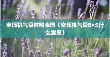 空压机气管对照表图（空压机气管8×5什么意思）