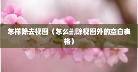 怎样除去视图（怎么删除视图外的空白表格）