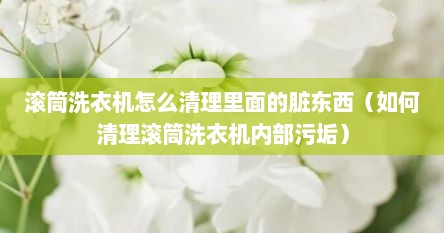 滚筒洗衣机怎么清理里面的脏东西（如何清理滚筒洗衣机内部污垢）