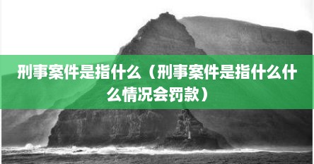 刑事案件是指什么（刑事案件是指什么什么情况会罚款）