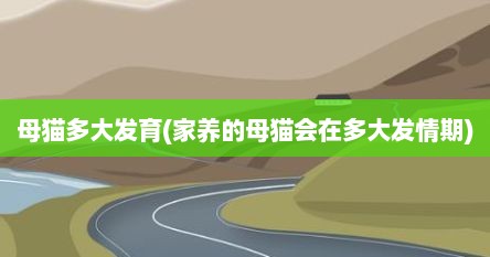 母猫多大发育(家养的母猫会在多大发情期)