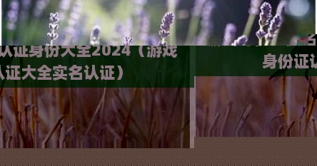 游戏身份证实名认证身份大全2024（游戏身份证认证大全实名认证）