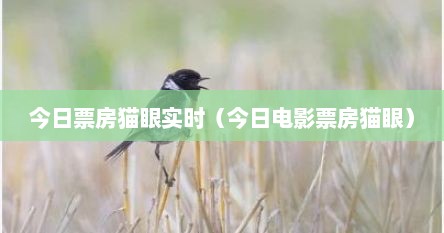 今日票房猫眼实时（今日电影票房猫眼）