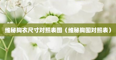 维秘胸衣尺寸对照表图（维秘胸围对照表）