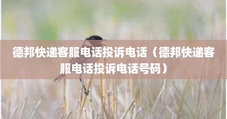 德邦快递客服电话投诉电话（德邦快递客服电话投诉电话号码）