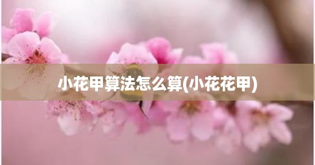 小花甲算法怎么算(小花花甲)