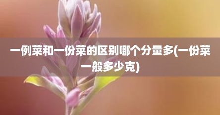 一例菜和一份菜的区别哪个分量多(一份菜一般多少克)