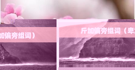 斤加偏旁组词（卑加偏旁组词）