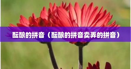 酝酿的拼音（酝酿的拼音卖弄的拼音）