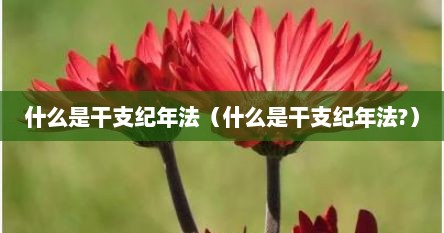 什么是干支纪年法（什么是干支纪年法?）