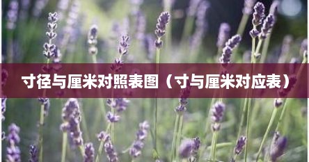 寸径与厘米对照表图（寸与厘米对应表）